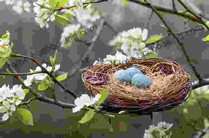 A Bird's Nest In A Tree Nests Eggs Birds: An Illustrated Aviary