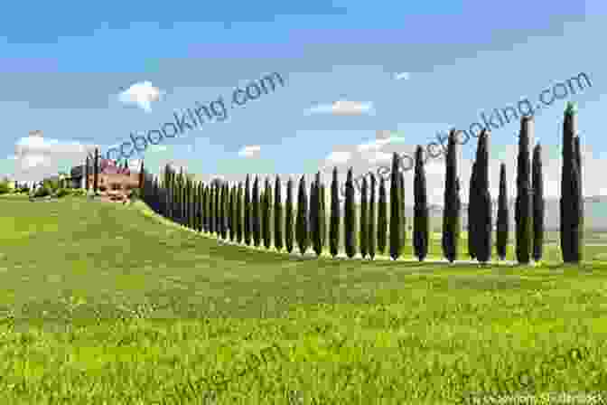 A Breathtaking Landscape Of Rolling Hills, Vineyards, And Cypress Trees In Tuscany, Italy Bella Tuscany: The Sweet Life In Italy