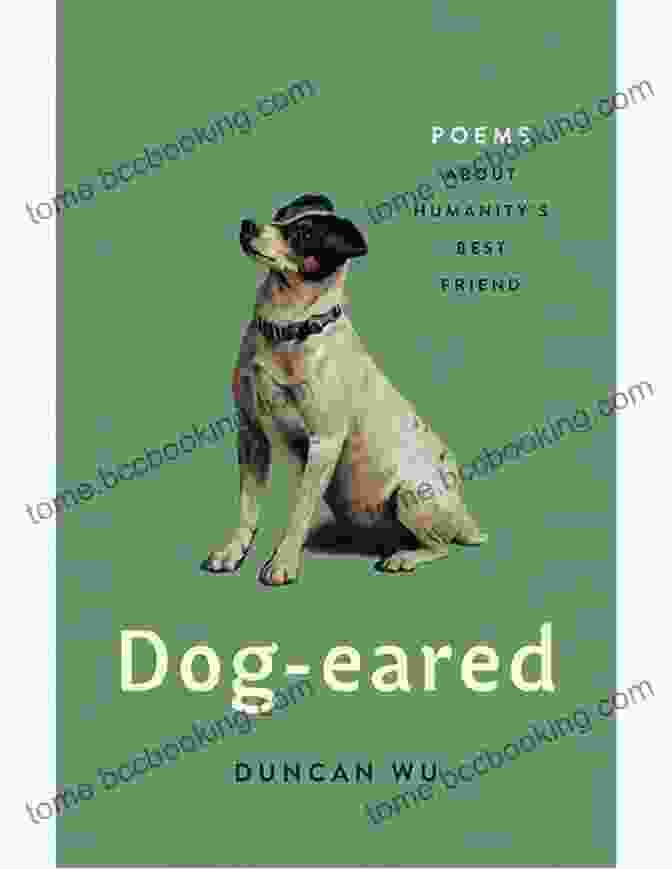A Dog Eared And Underlined Book, A Favorite Companion Written In Bone: Hidden Stories In What We Leave Behind