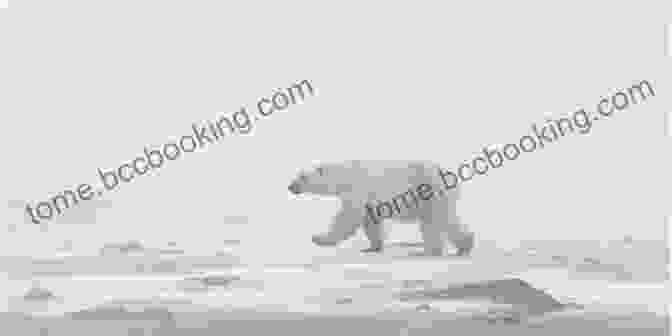 A Majestic Polar Bear Surrounded By A Vast Icy Expanse Poems From The Polar Circles