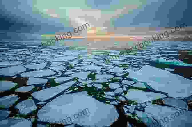 A Photograph Of Melting Sea Ice In The Arctic Ocean Standing On The Ocean: A Layman S Arctic Adventure