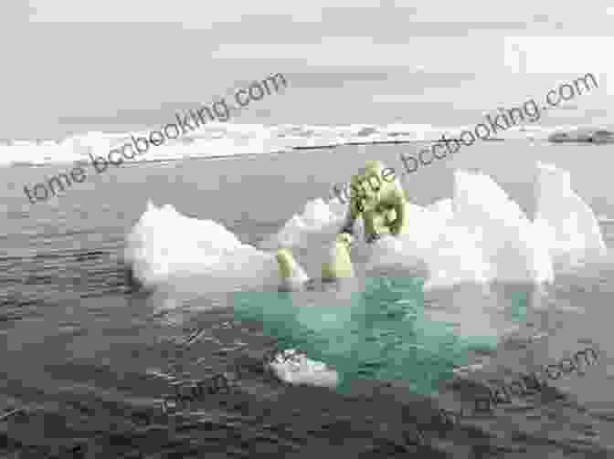 A Polar Bear Stands On A Melting Ice Floe. Dead Serious: Wild Hope Amid The Sixth Extinction