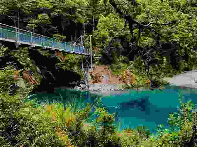 Crystal Clear Blue Pools, Showcasing New Zealand's Pristine Natural Beauty Picton To Queenstown Come Rain Or Shine: An Eventful Cycle Tour Down The South Island Of New Zealand