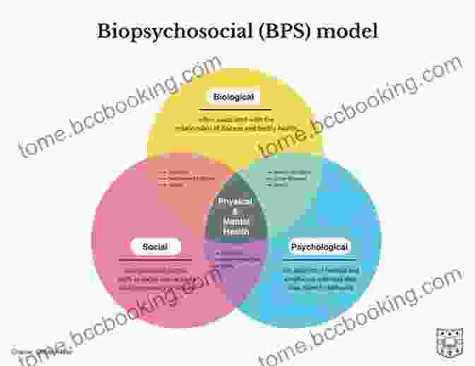 Diagram Illustrating The Metaphysical Framework Underlying Physical And Biological Science Aristotle S Revenge: The Metaphysical Foundations Of Physical And Biological Science
