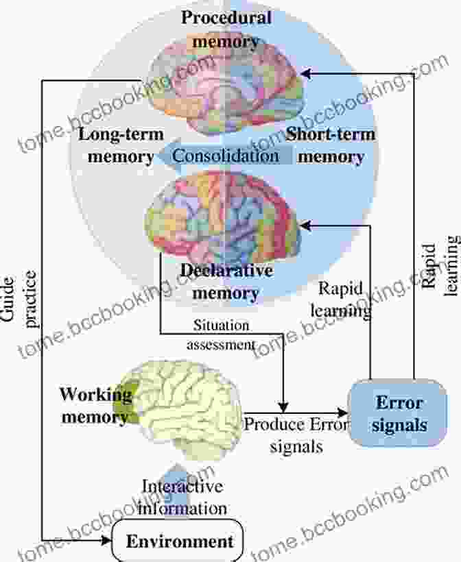 Diagram Of Cognitive Processes Cognitive Psychology: Connecting Mind Research And Everyday Experience