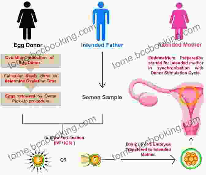 Egg Donation Process For Infertility Treatment Infertility: Cure And Assisted Reproduction