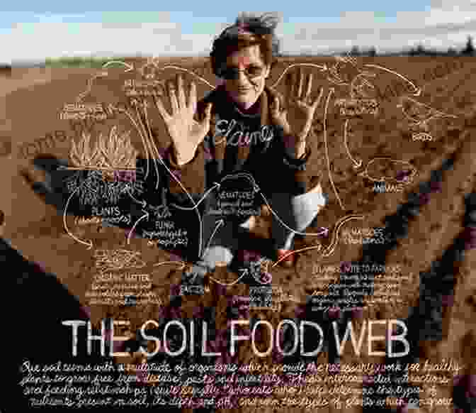 Feed The Soil Not The Plants Book Cover By Elaine Ingham Feed The Soil Not The Plants: The Organic Gardener S Mantra