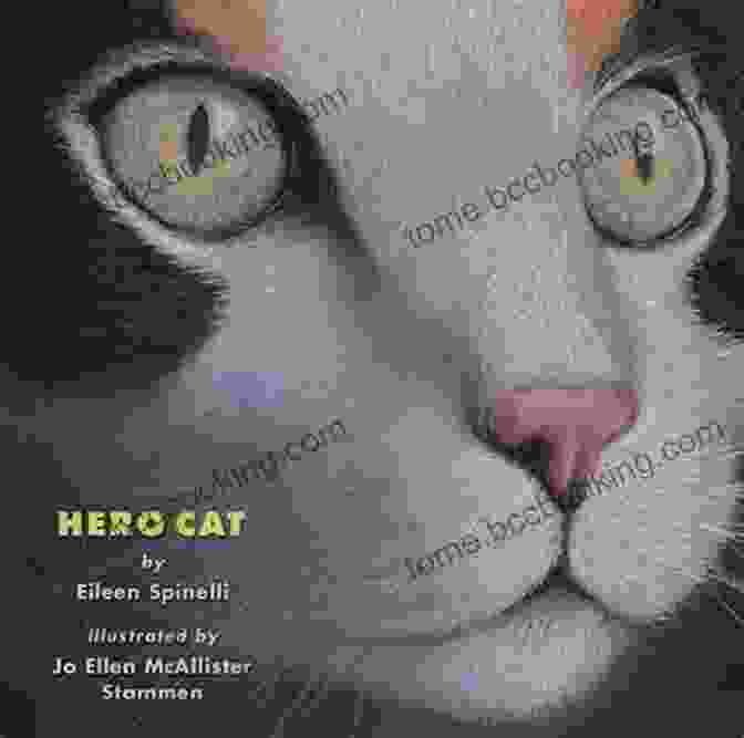 Hero Cat Eileen Spinelli Book Cover Hero Cat Eileen Spinelli