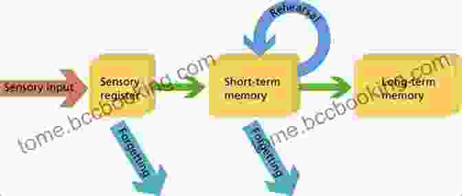 Memory Formation And Retrieval Processes Cognitive Psychology: Connecting Mind Research And Everyday Experience