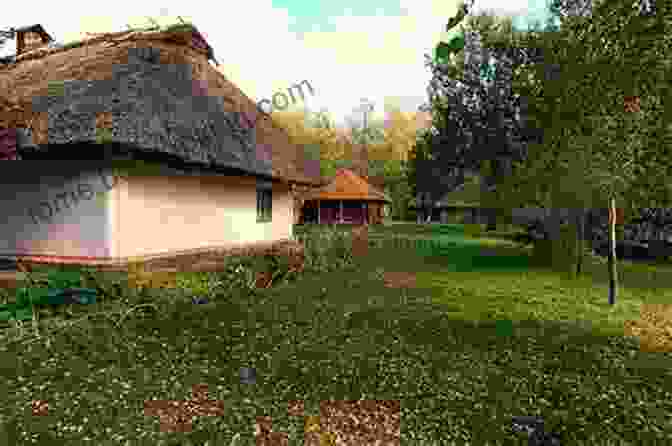 Reconstruction Of An Ancient House With Thatched Roof The Prehistory Of Home Jerry D Moore