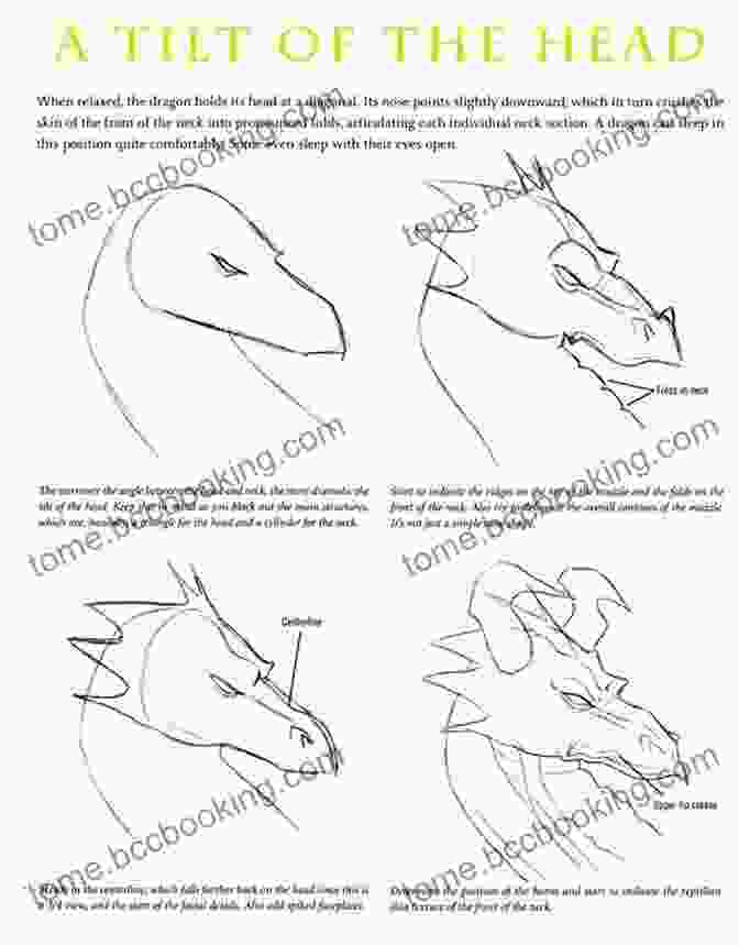 Step By Step Dragon Drawing Tutorial For Dragon Head Drawing How To Draw Easy Dragon Step By Step: 12 Best Dragon Drawing Tutorials