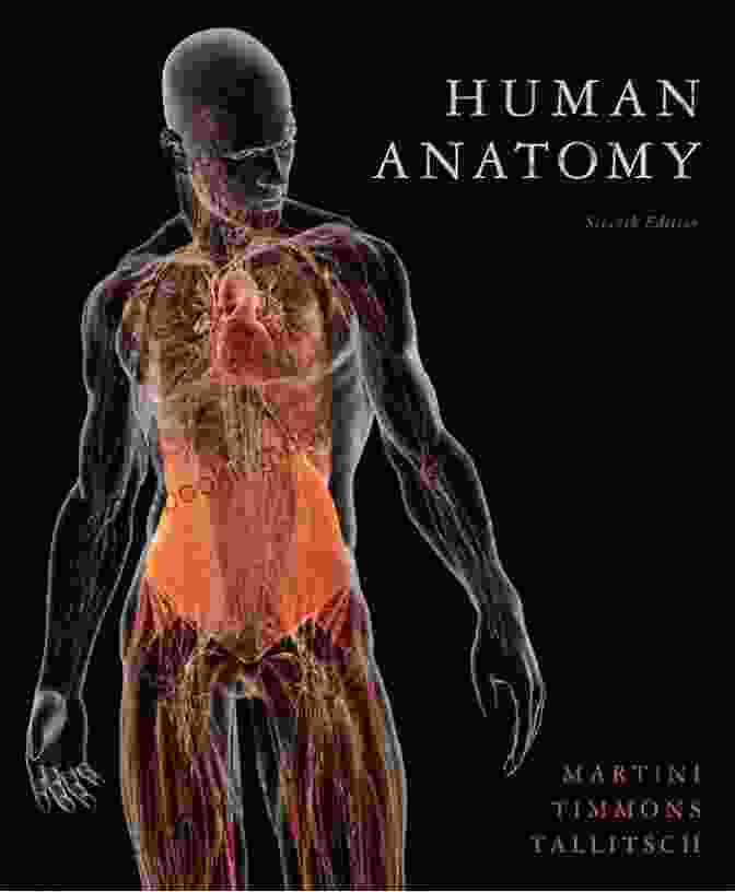 The Art And Science Of Training Book Cover With A Detailed Illustration Of A Human Body Performing Various Exercises The Art And Science Of Training
