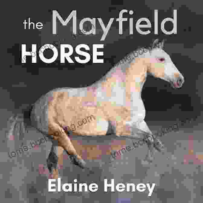 The Mayfield Horse Book Cover The Mayfield Horse 3 In The Connemara Horse Adventure For Kids The Perfect Gift For Children Age 8 12 (Connemara Horse Adventures)