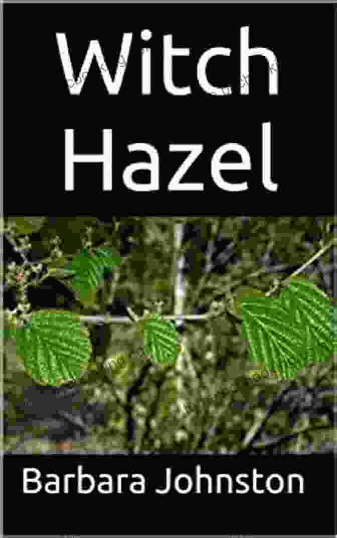 The Ultimate Guide To Witch Hazel The Ultimate Guide To Witch Hazel: Everything You Need To Know About Witch Hazel Including 7 Home Recipes