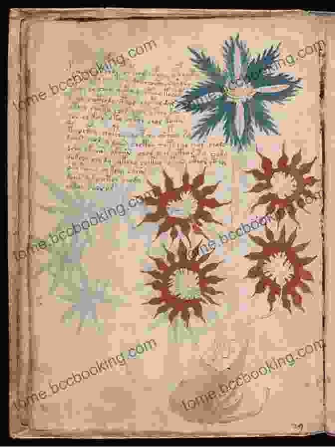 The Voynich Manuscript, An Enigmatic Text With Undeciphered Script The Madman S Library: The Strangest Manuscripts And Other Literary Curiosities From History