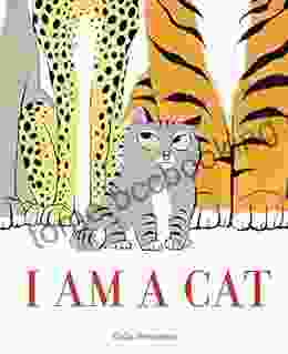 I Am A Cat Galia Bernstein