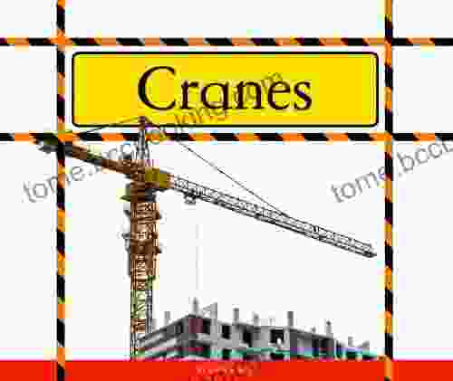 Cranes (Big Machines At Work)