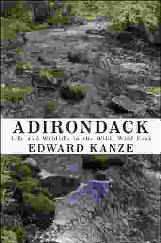 Adirondack: Life And Wildlife In The Wild Wild East (Excelsior Editions)