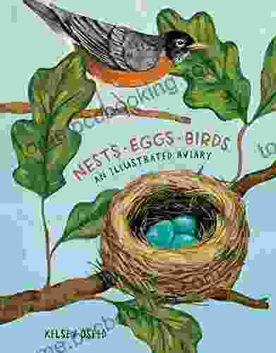 Nests Eggs Birds: An Illustrated Aviary