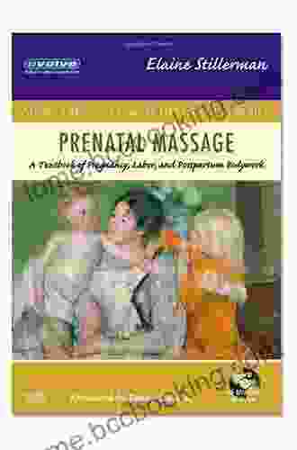 Prenatal Massage: A Textbook Of Pregnancy Labor And Postpartum Bodywork (Mosby S Massage Career Development)