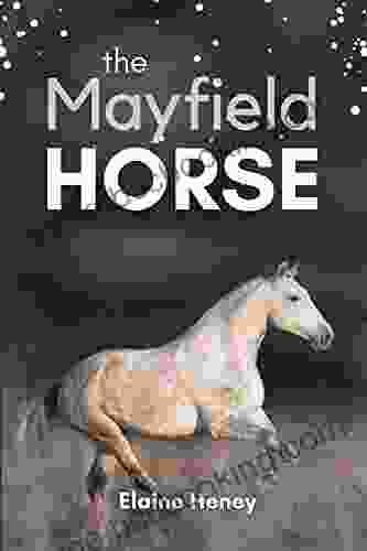 The Mayfield Horse 3 In The Connemara Horse Adventure For Kids The Perfect Gift For Children Age 8 12 (Connemara Horse Adventures)