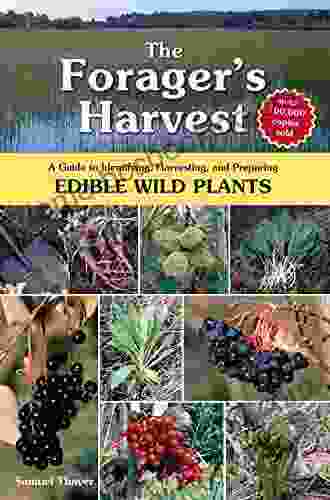 The Forager S Harvest: A Guide To Identifying Harvesting And Preparing Edible Wild Plants