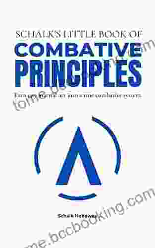 Schalk S Little Of Combative Principles: Turn Any Martial Art Into A True Combatives System (Schalk S Little Series)