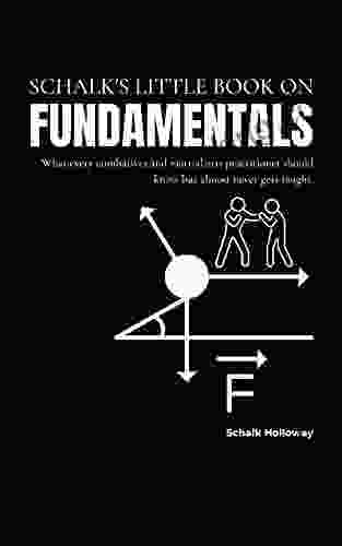 Schalk S Little On Fundamentals: What Every Combatives And Martial Arts Practitioner Should Know But Almost Never Gets Taught (Schalk S Little Series)